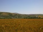 20160625_110147-kopya